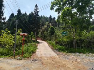 森林防火 防患于未&ldquo;燃&rdquo;