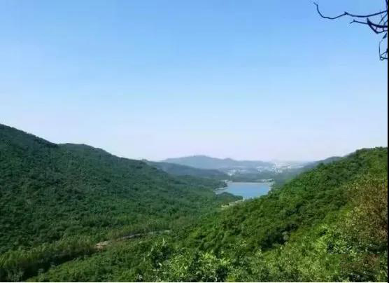 筑牢&ldquo;防火墻&rdquo; 守護(hù)生態(tài)屏障&mdash;&mdash;中山啟用森林智能哨衛(wèi)系統(tǒng)