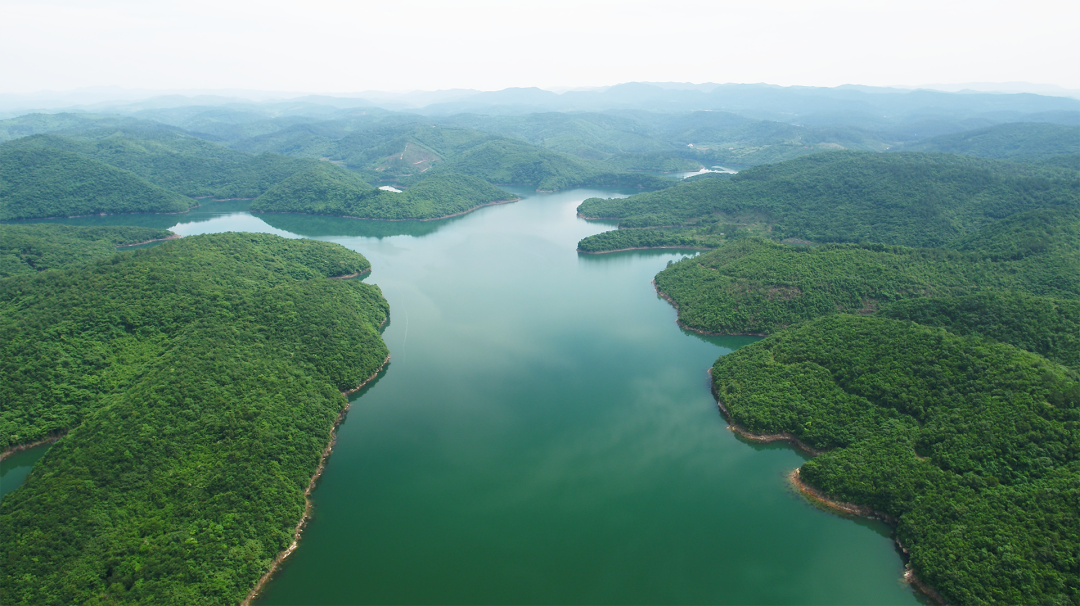 森林&ldquo;四庫(kù)&rdquo;系列解讀丨森林是水庫(kù)